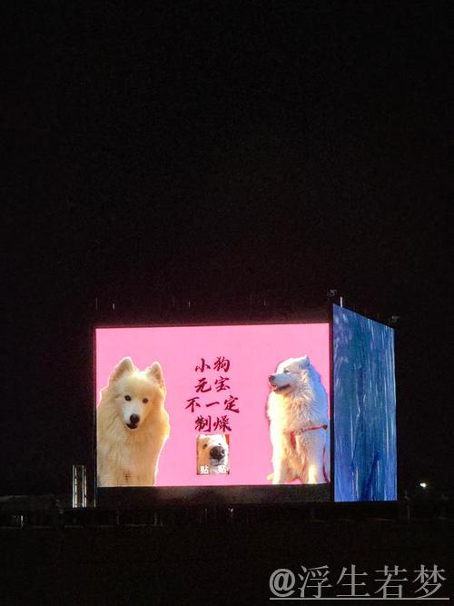 天津重建刻不容缓:告别中生代,全力扶持青年力量,陈方去留成焦点 天津重建刻不容缓:告别中生代,全力扶持青年力量,陈方去留成焦点